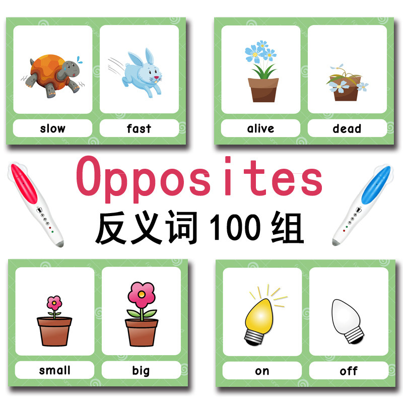100 Cartões de Vocabulário em  - Kids Education Things avaliação e preço