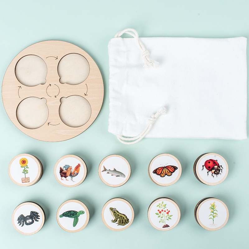 Placa de ciclo de vida montess - Montessori Shelf Toy avaliação e preço